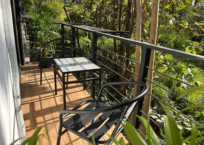 La Jungla