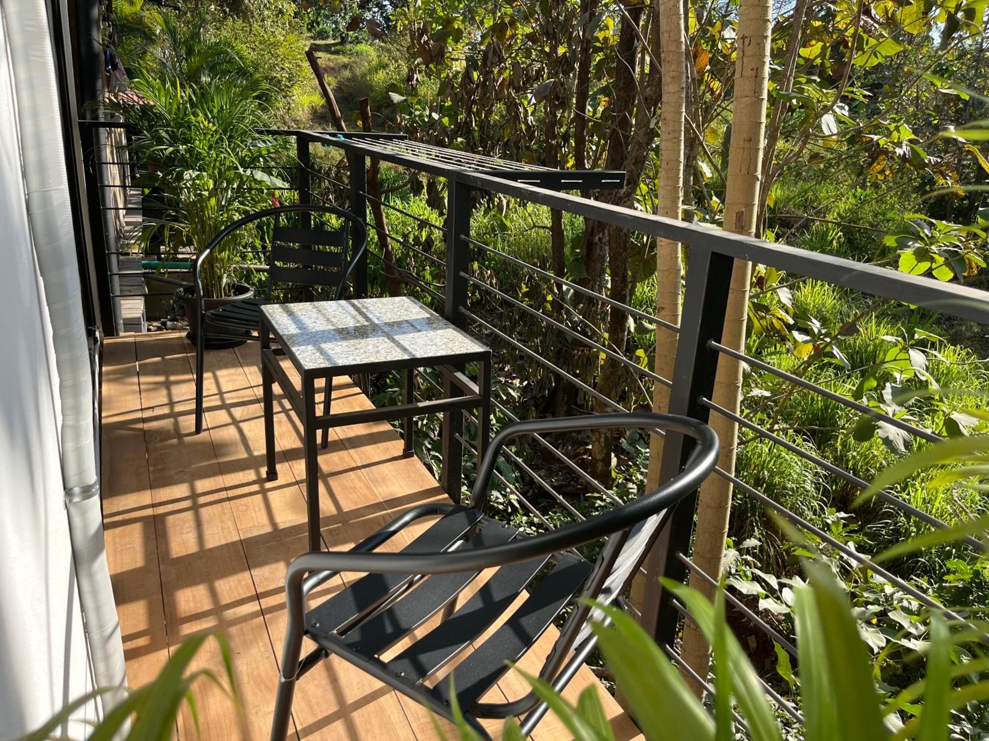 La Jungla