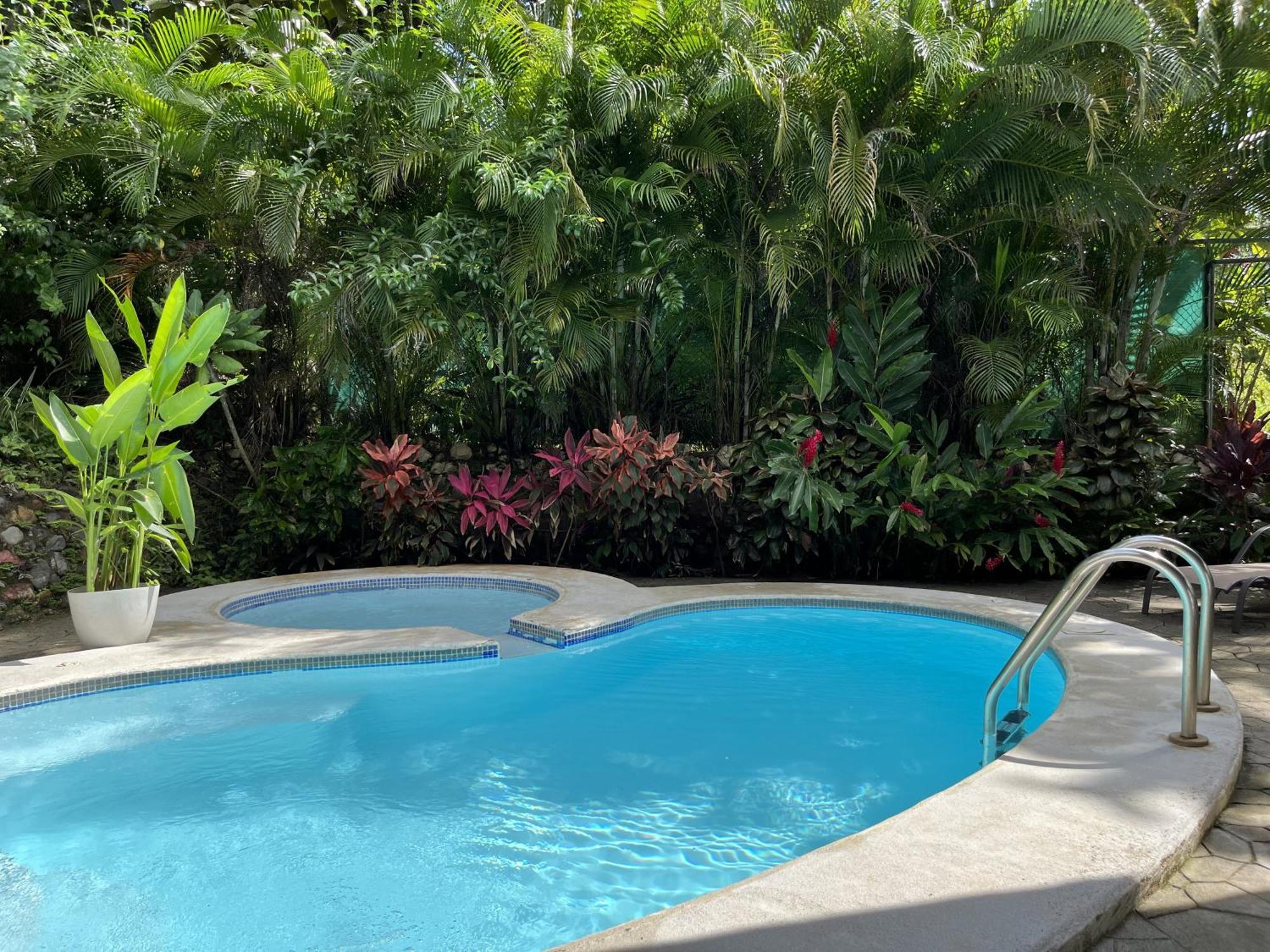 Bed & Breakfast La Jungla 3*