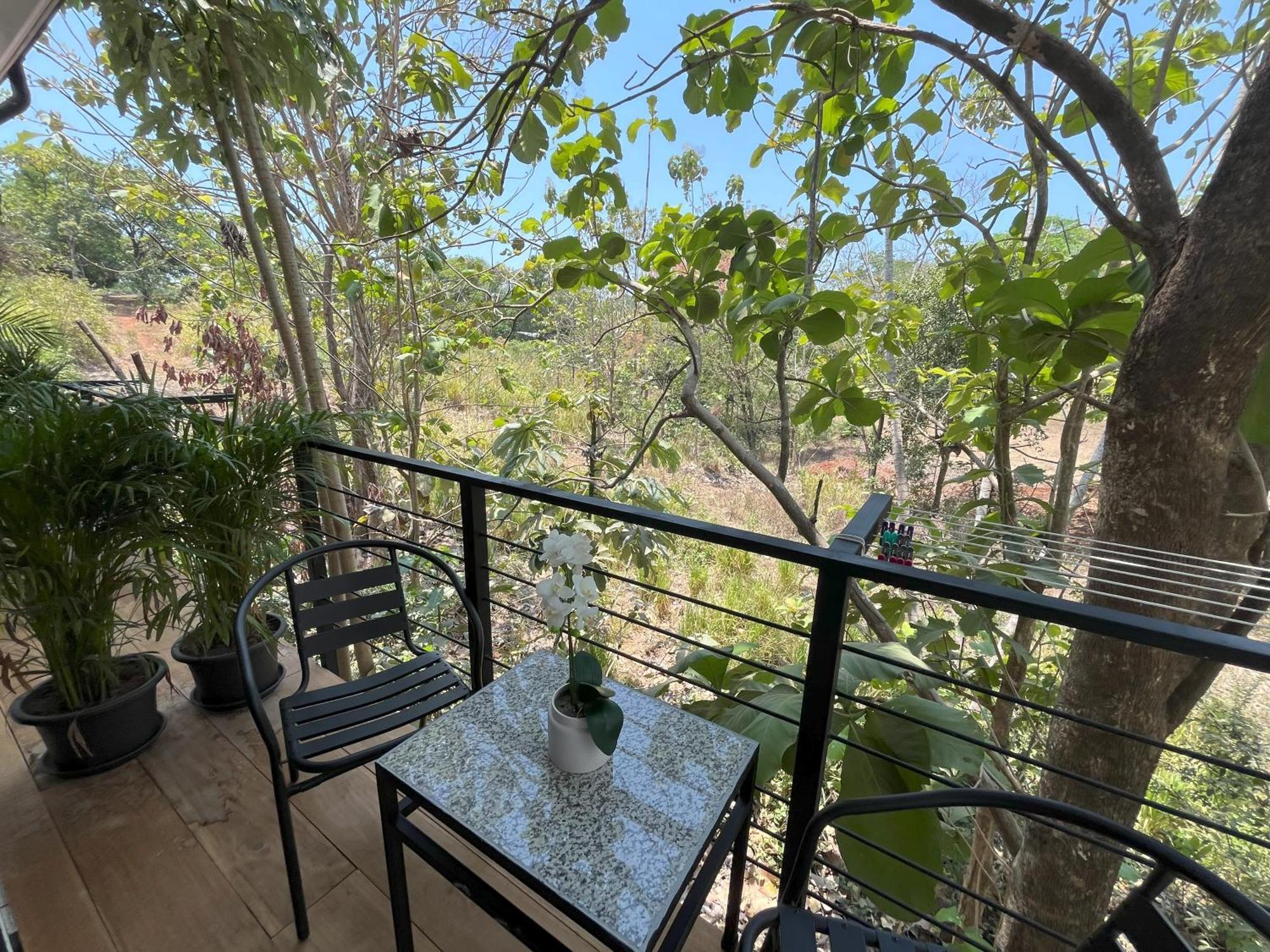 La Jungla Bed & Breakfast Puerto Carrillo